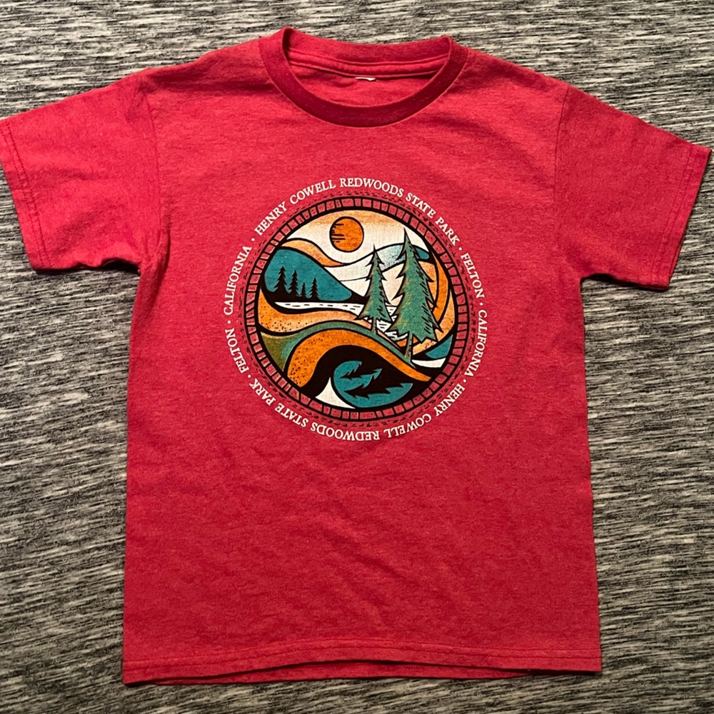 🩵Redwoods State Park Tee - Size 5T